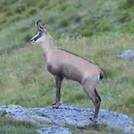 Berg-arche Apartamento Sankt Margarethen im Lavanttal