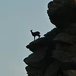 Berg-arche