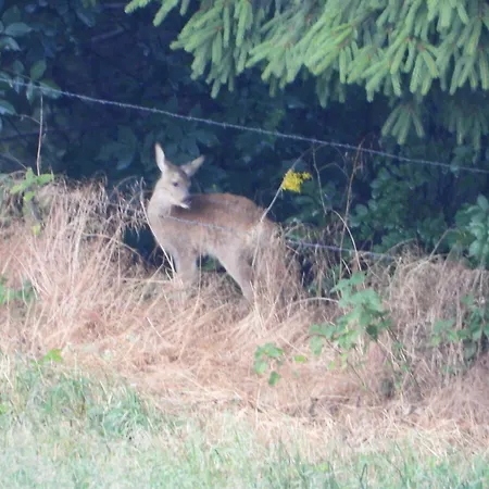 Berg-arche Sankt Margarethen im Lavanttal