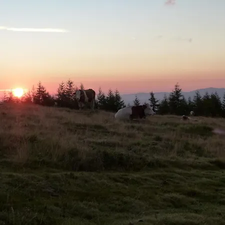 Berg-arche Apartment