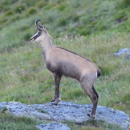 Berg-arche Apartment Sankt Margarethen im Lavanttal