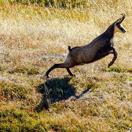 Apartment Berg-arche *