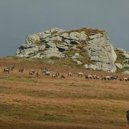 Apartment Berg-arche Sankt Margarethen im Lavanttal