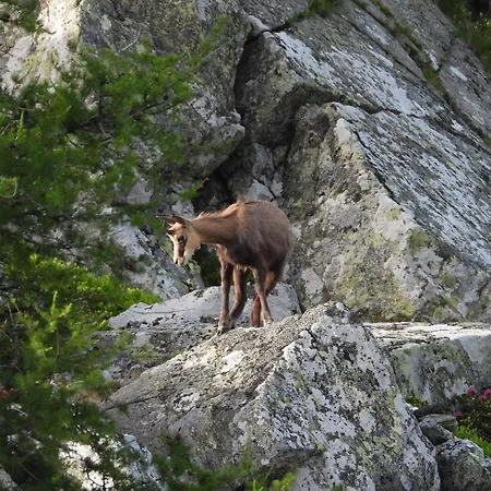 Berg-arche Sankt Margarethen im Lavanttal