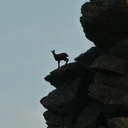 Berg-arche