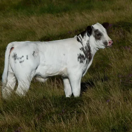 Berg-arche Sankt Margarethen im Lavanttal