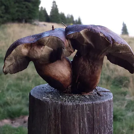 Lägenhet Berg-arche Sankt Margarethen im Lavanttal