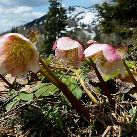 Apartment Berg-arche Sankt Margarethen im Lavanttal