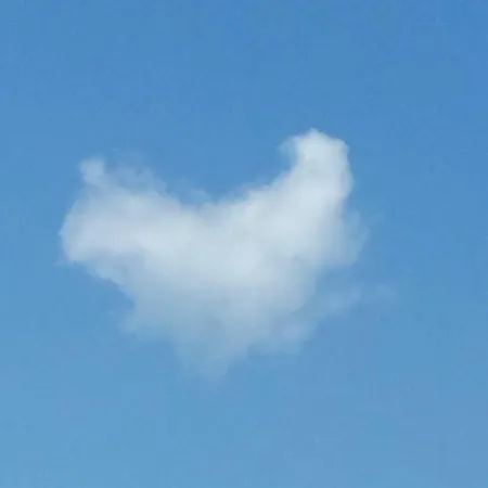 Berg-arche * Sankt Margarethen im Lavanttal