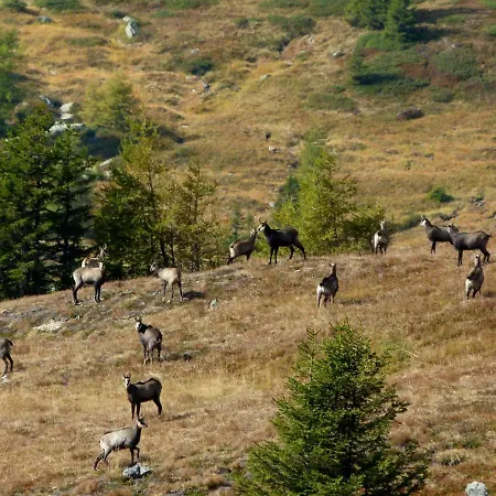 Berg-arche * Sankt Margarethen im Lavanttal