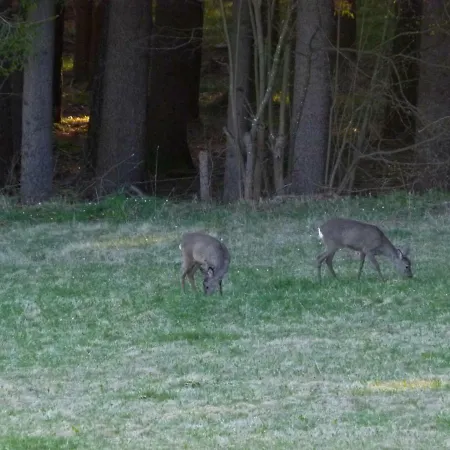 Berg-arche Sankt Margarethen im Lavanttal