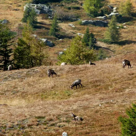 Berg-arche Apartamento