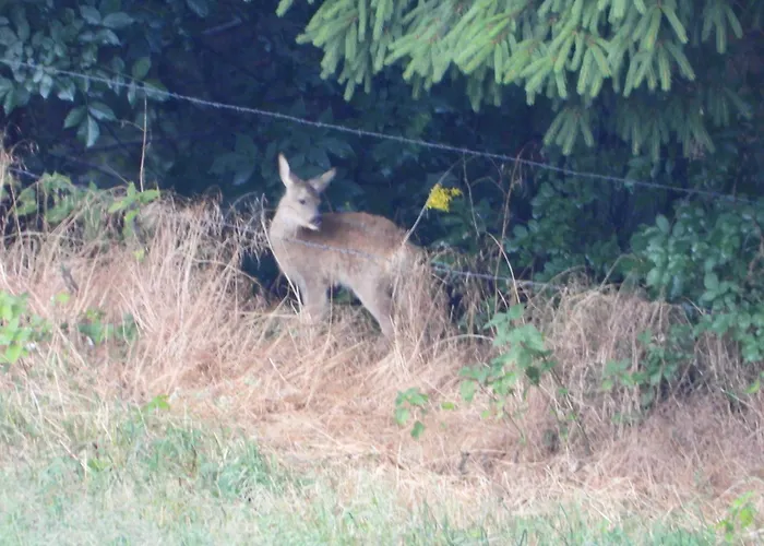 Berg-arche Sankt Margarethen im Lavanttal