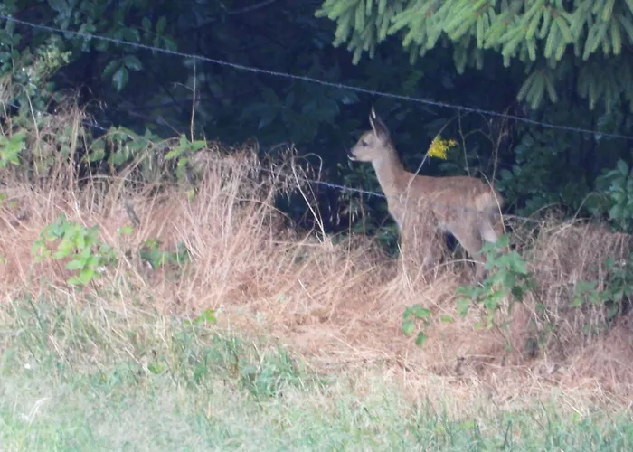 Berg-arche Διαμέρισμα *