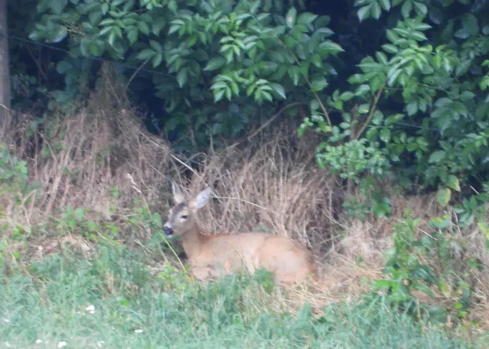 Berg-arche Sankt Margarethen im Lavanttal