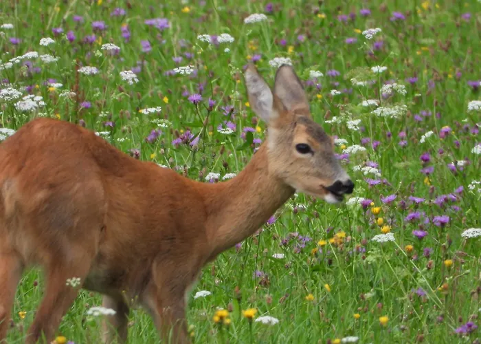 Berg-arche Apartament Sankt Margarethen im Lavanttal
