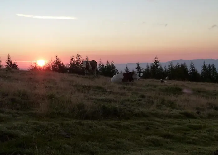 Berg-arche Διαμέρισμα