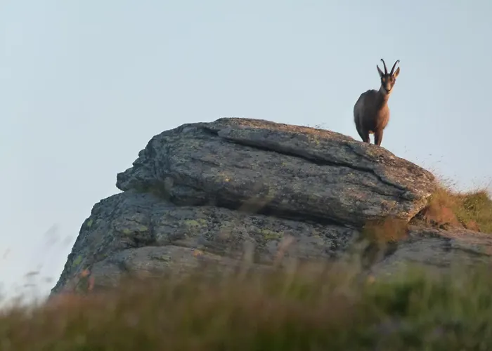 Διαμέρισμα Berg-arche *