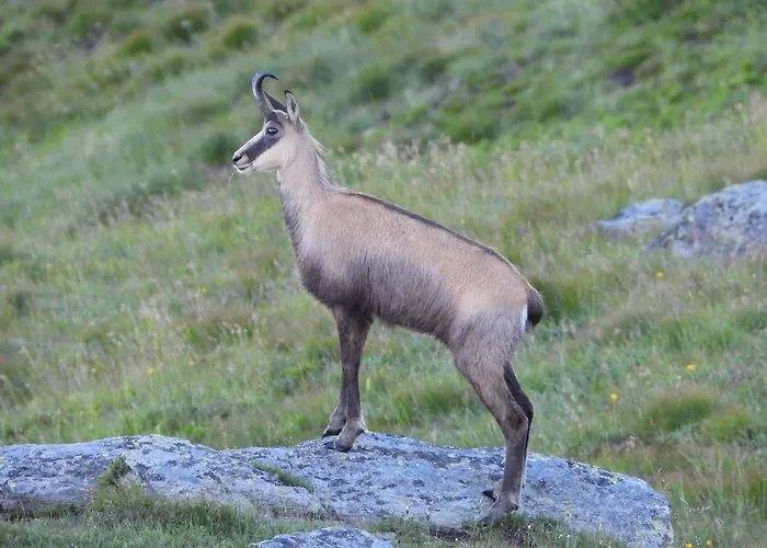 Berg-arche Apartament Sankt Margarethen im Lavanttal