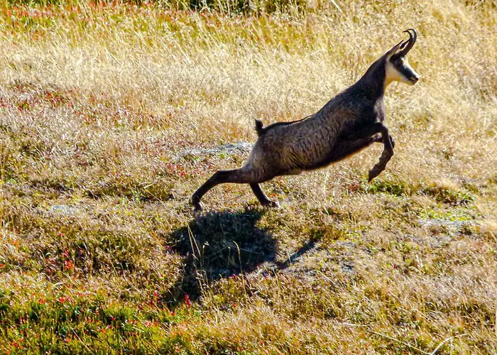 Διαμέρισμα Berg-arche *