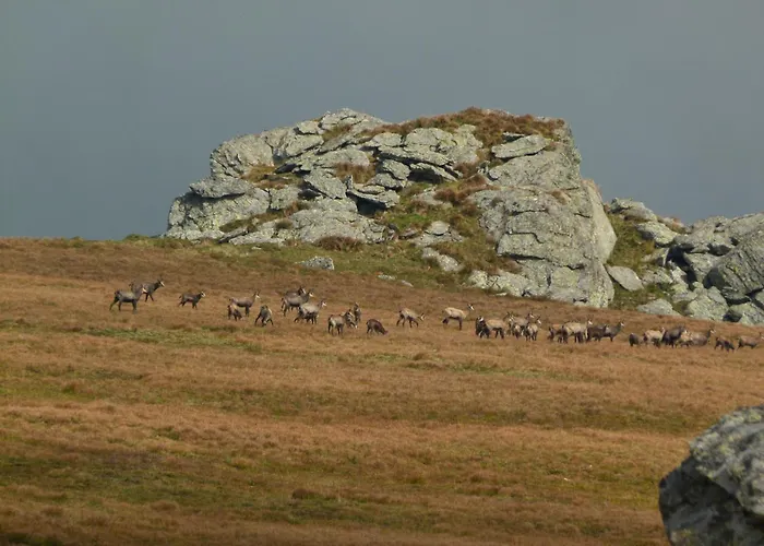 Apartment Berg-arche Sankt Margarethen im Lavanttal