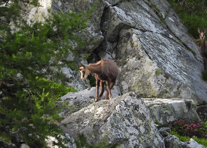 Berg-arche Sankt Margarethen im Lavanttal