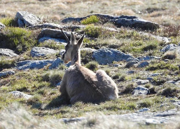 Berg-arche Apartment Sankt Margarethen im Lavanttal