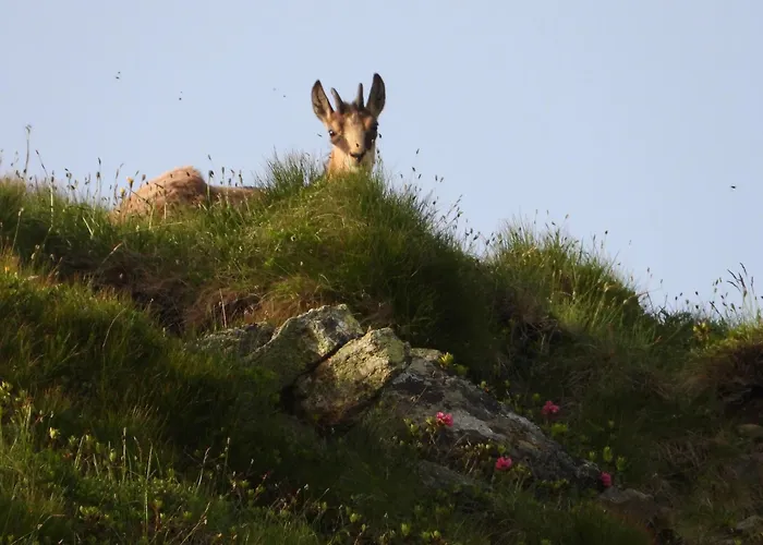 Apartament Berg-arche Sankt Margarethen im Lavanttal