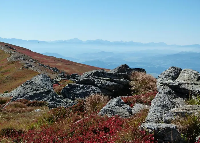 Apartament Berg-arche *