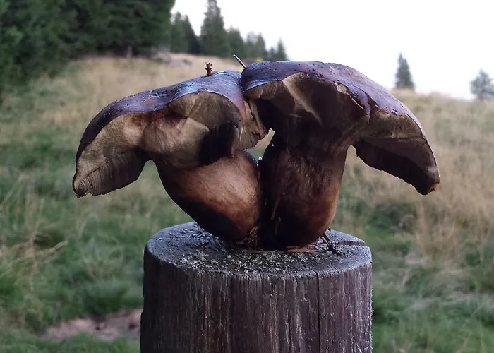 Apartament Berg-arche Sankt Margarethen im Lavanttal