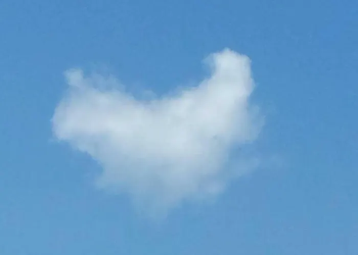 Berg-arche * Sankt Margarethen im Lavanttal