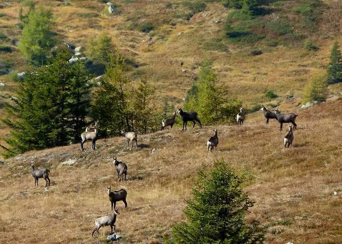 Berg-arche * Sankt Margarethen im Lavanttal