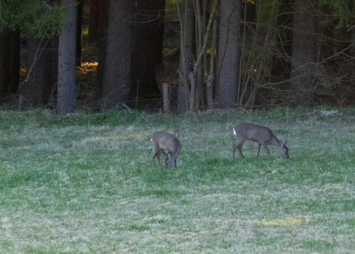 Berg-arche Sankt Margarethen im Lavanttal