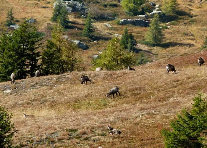 Berg-arche Apartment